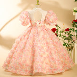 Kid Girl Host Catwalk Wedding Piano Performance Dresses