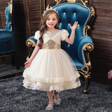Kid Short Sleeve Sequined Gauze Princess Birthday Party Piano Dresses