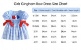 Independence Day Kid Baby Girl Summer Blue Plaid Embroidered Dress