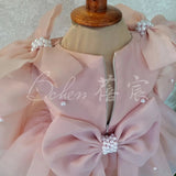 Kid Baby Girl Pink Long Sleeve Fluffy Birthday Piano Dresses