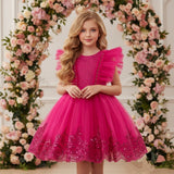 Kid Girl Princess Wedding Flower Mesh Embroidered Sequins Dress