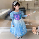 Kid Girl Princess Temperament  Frozen Elsa Long Sleeves Dresses