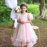 Kid Girl Piano Performance Birthday Fluffy Dresses