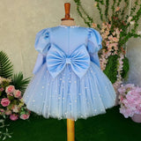 Kid Baby Girls Blue Fluffy Yarn Long Sleeve Princess Dress