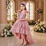 Kid Girls Dress Long Trailing Party Wedding Flower Dress