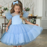 Kid Baby Girl Formal Party Piano Performance Dress