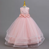 Kid Girl Long Princess Flower Mesh Dresses