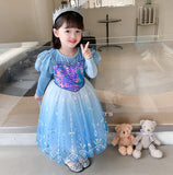 Kid Girl Princess Temperament  Frozen Elsa Long Sleeves Dresses