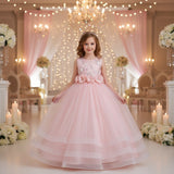 Kid Girl Long Princess Flower Mesh Dresses