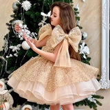 Kid Baby Girl Party Birthday Party Bow Dresses