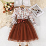 Kid Girls Long Sleeve Lapel Floral Mesh Dress