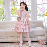 Kid Baby Girl Princess Pink Pooper Gauze Evening  Performance Cake Dresses