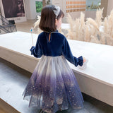 Girls Winter Long Sleeve Snow Queen Elsa Dress