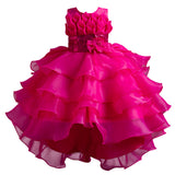 Kid Girls Formal Flower Organza Cake Princess Dresses