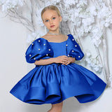 2-8T Kid Baby Girl Birthday Party Walk Show Princess Flower Wedding Dress
