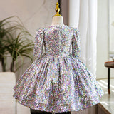 Kid Baby Girl Silver Tutu European American Princess Dresses