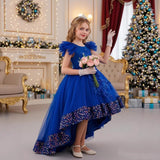Kid Girls Princess Decal Mesh Fluffy Flowers Dresses