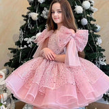 Kid Baby Girl Party Birthday Party Bow Dresses