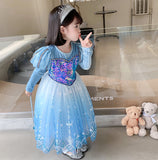 Kid Girl Princess Temperament  Frozen Elsa Long Sleeves Dresses