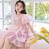 Kid Baby Girl Princess Pink Pooper Gauze Evening  Performance Cake Dresses