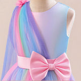 Kid Girl Sleeveless Banquet Party Mesh Princess Dresses