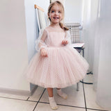 Kid Girls Spring Mesh Gauze Pengpeng Princess Performance Dresses