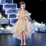 Kid Girls Evening Princess Sweet Host Piano Catwalk Flower Dresses