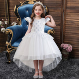 Kid Girls Princess Dinner Host Piano Performance Dresses