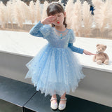 Kid Girl Mesh Princess Autumn Elsa Pompous  Frozen Dresses