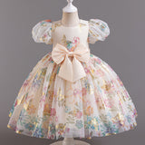 Kid Girl Flower Printed FluffyWedding  Birthday Princess Dress