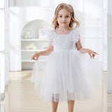 1-5T Kid Baby Girls Flying Sleeve Flower Performance Dress