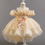 3-12T Kid Girl Princess Flower Wedding Fluffy Dress