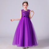 Kid  Girls Sleeveless Mesh Show Host Princess Dress