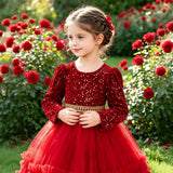 2-6Y Kid Baby Girls Birthday Banquet Red Host Piano Performance Princess Dresses