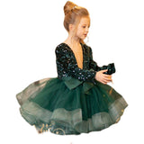 Kid Baby Girl Long Sleeved Princess Hosting Flower Show Dresses