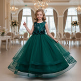 Kid Girl Long Princess Flower Mesh Dresses