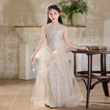 Kid Girl Princess Host Evening  Mermaid Fish Tail Dresses