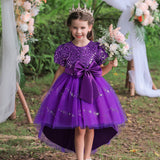 Kid Girl Princess Flower Sequin Fluffy Performance Trailing Dresses