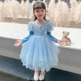 Kid Girl Mesh Princess Autumn Elsa Pompous  Frozen Dresses