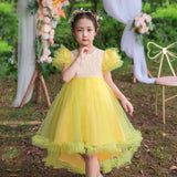 Kid Girl Piano Performance Birthday Fluffy Dresses