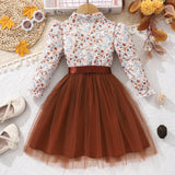Kid Girls Long Sleeve Lapel Floral Mesh Dress
