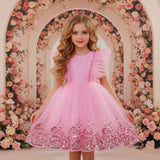 Kid Girl Princess Wedding Flower Mesh Embroidered Sequins Dress