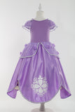 Kid Girl Princess Sophia Halloween Dresses