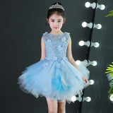 Kid Girls Evening Princess Trailing Wedding Tutu Host Dresses
