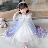 Kid Girl Winter Princess Elsa Long-sleeved Gradient Dresses