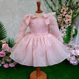 Kid Baby Girl Pink Long Sleeve Fluffy Birthday Piano Dresses