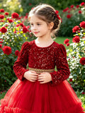 2-6Y Kid Baby Girls Birthday Banquet Red Host Piano Performance Princess Dresses
