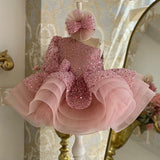Kid Baby Girls  Pink Sequin Princess Fluffy Mesh Dresses