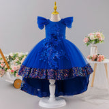 Kid Girls Princess Decal Mesh Fluffy Flowers Dresses