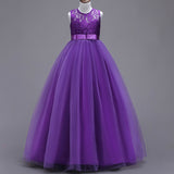 Kid  Girls Sleeveless Mesh Show Host Princess Dress